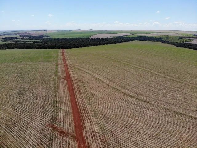 Fazenda 248 alqueiro 190 planta  - Foto 3