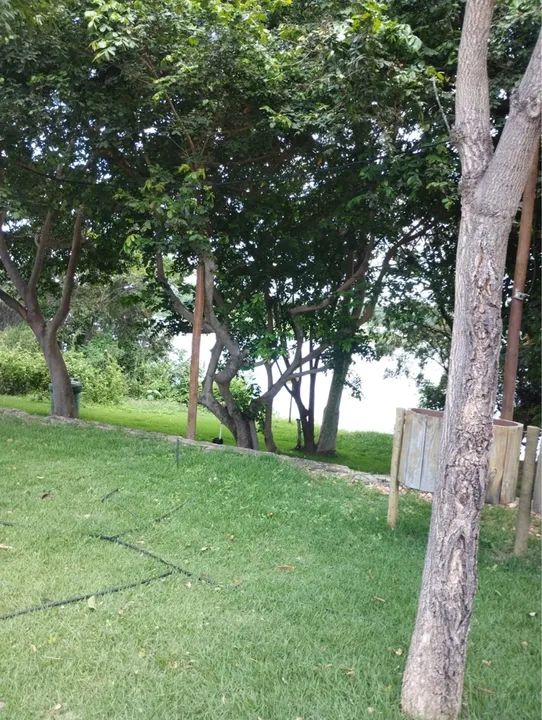 Sítio com pomar e área verde - Foto 2