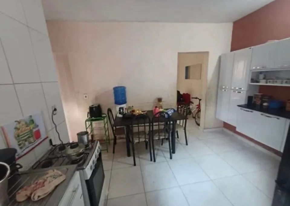 Samambaia norte  - Foto 2