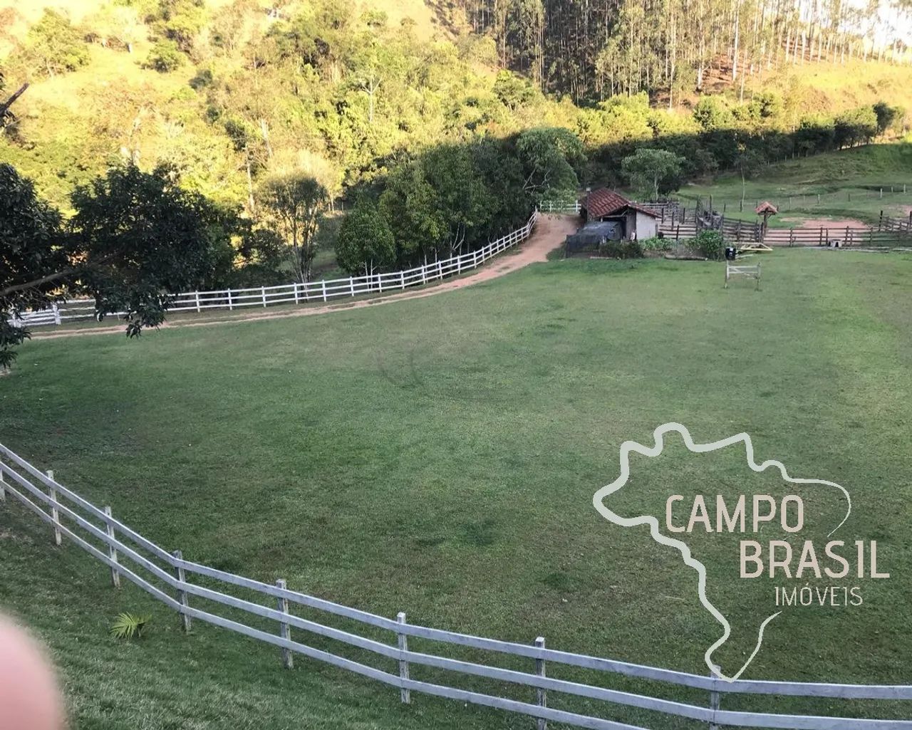 Oportunidade! Sítio formado de 10 alqueires. Estuda permuta! - Foto 4