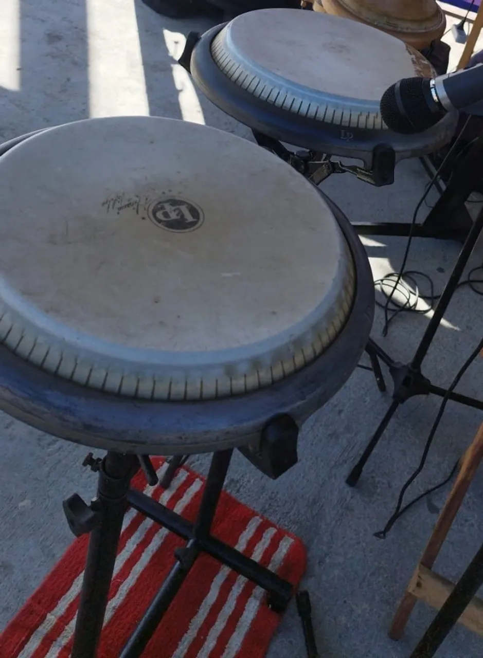 Congas LP - Percussão Profissional