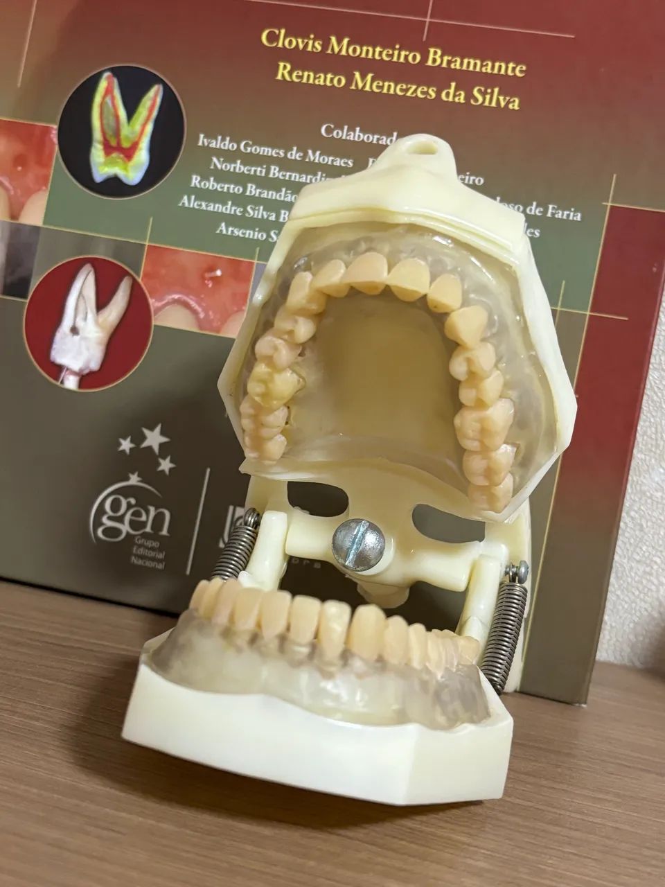 Manequim Odontológico  - Foto 2