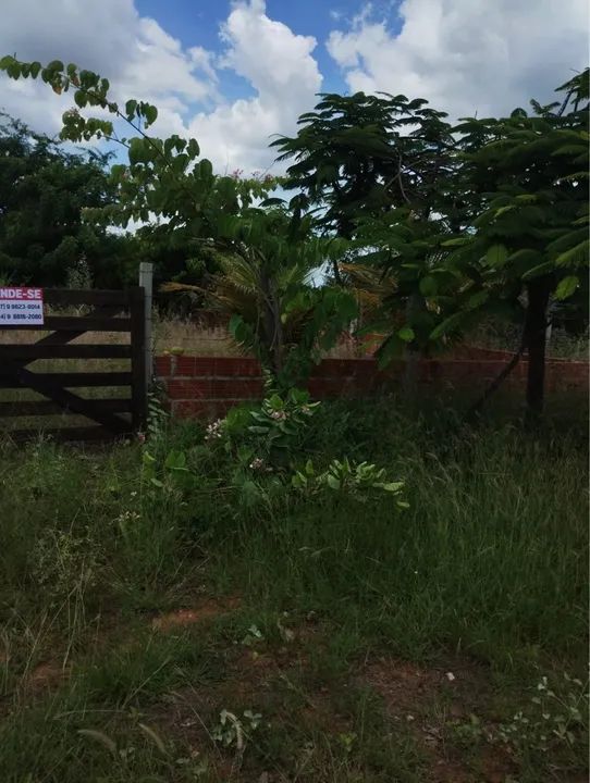 Sítio com pomar e área verde - Foto 5