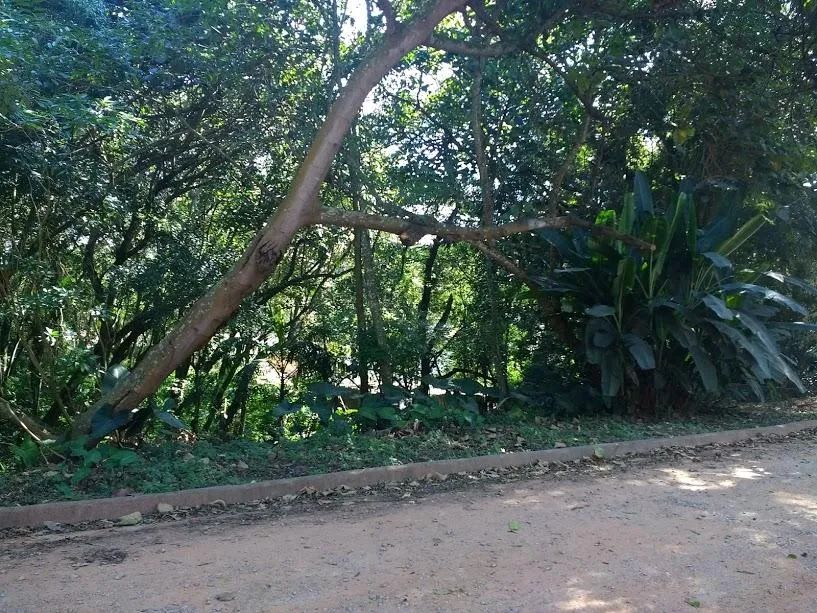 Vila Diva, Vila Diva, Carapicuíba - Foto 4