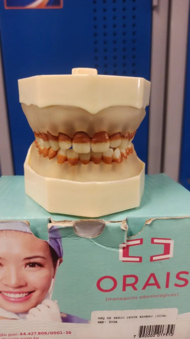 Manequim odontológico - Foto 5