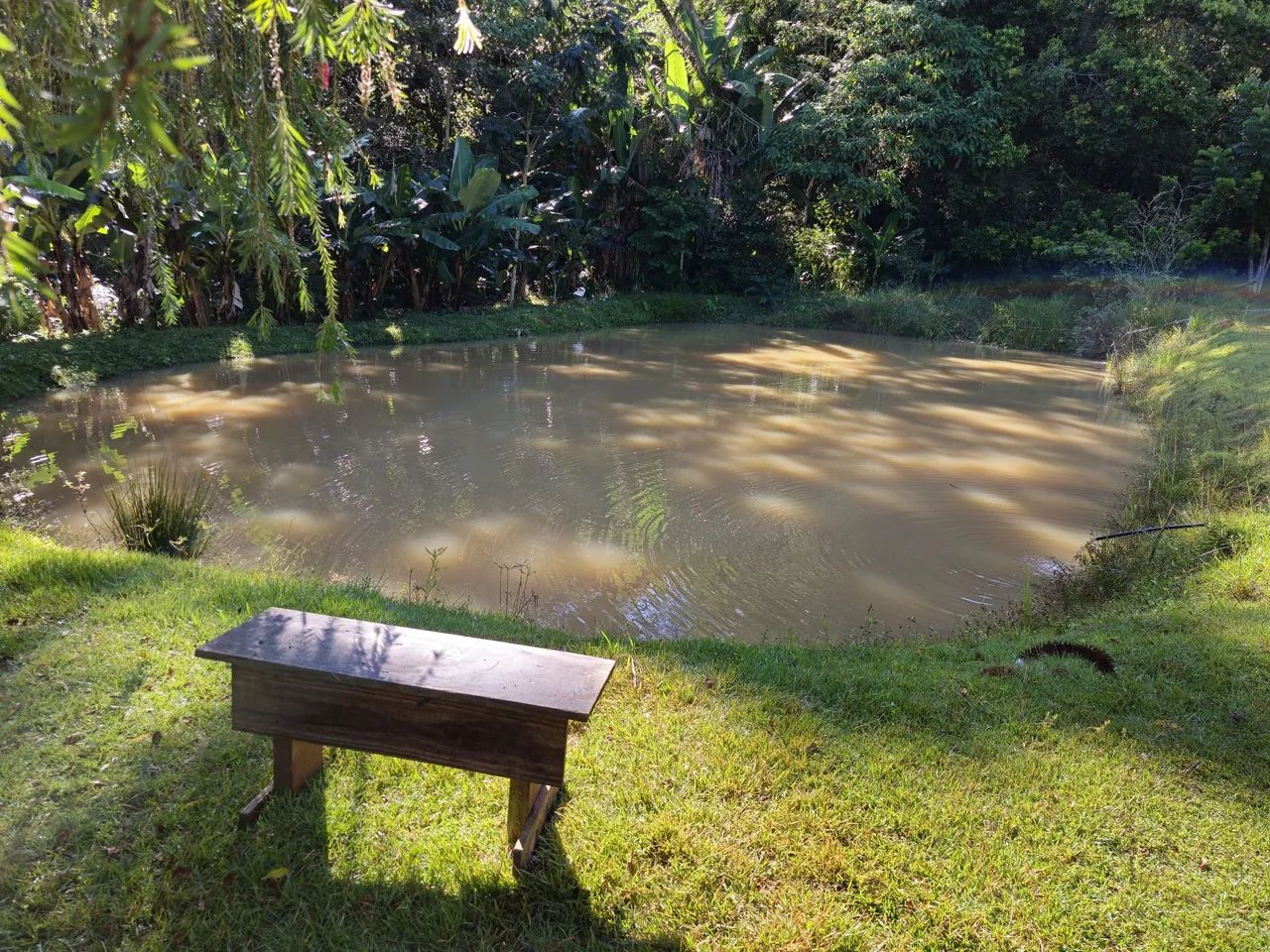 Vendo chácara em Salesópolis SP  - Foto 6