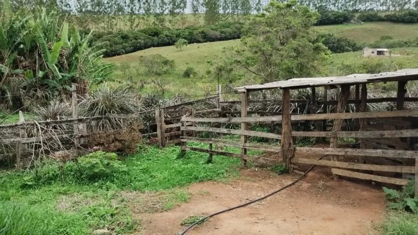 Vendo sítio, 14,6 hectares quase 5 alqueires - Foto 5