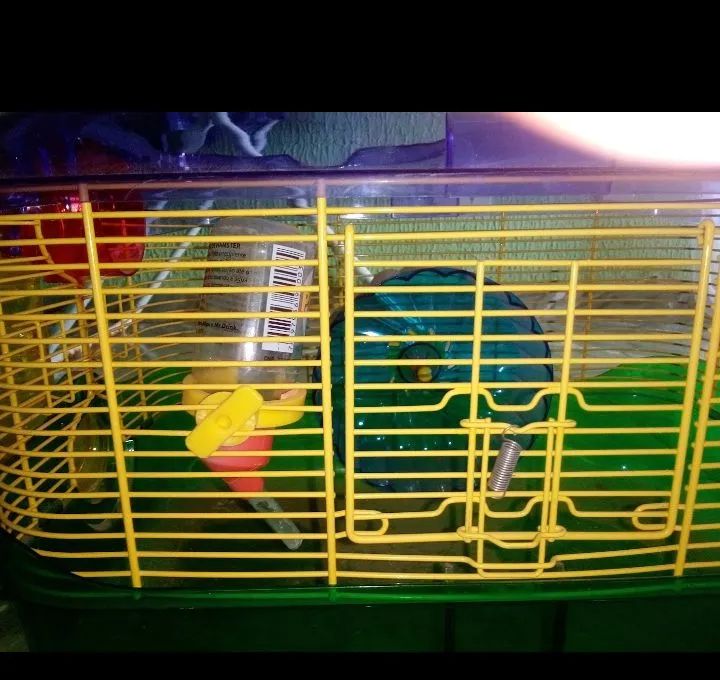 Gaiola hamster  - Foto 3