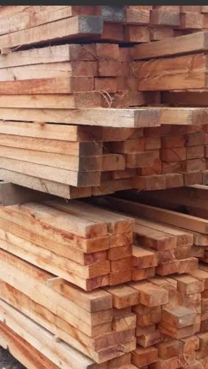 Madeira de Eucalipto rosa - Foto 5