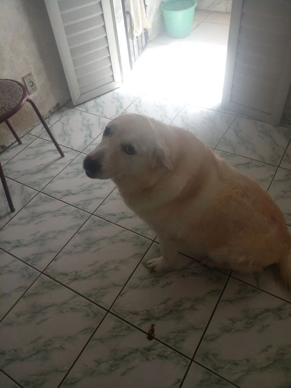Doação  - Foto 3