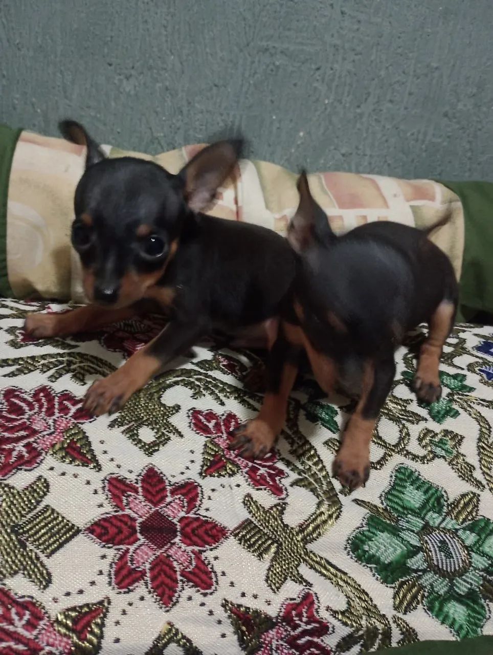 Vendo  - Foto 4