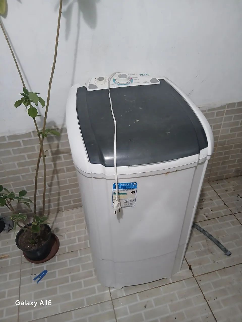 Tanquinho britânico 20.6kls