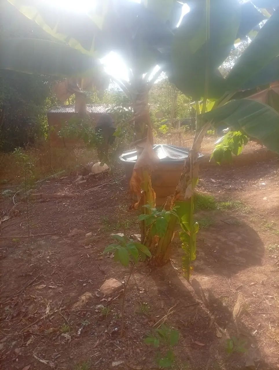 Vendo lote na invasão  - Foto 3