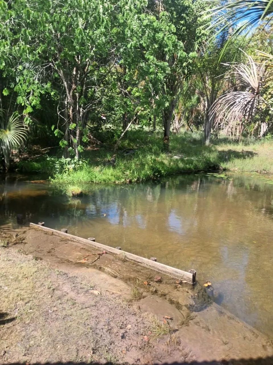 Vennde-se uma Chácara na Região do Auau PORTEIRA FECHADA  - Foto 3
