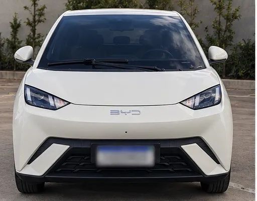 BYD Dolphin Mini (Elétrico) 2024 - Foto 2