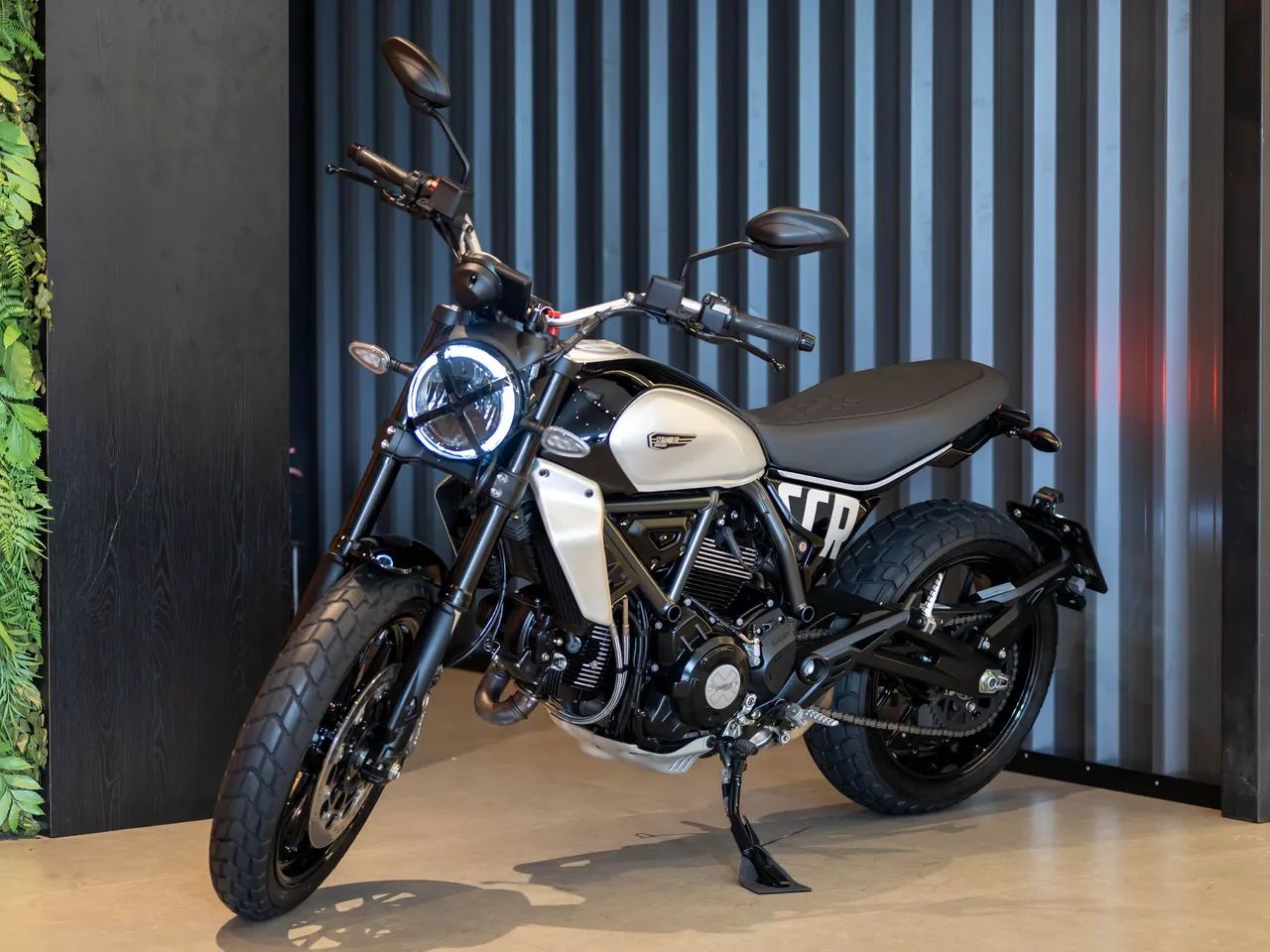 DUCATI SCRAMBLER ICON 2024 - Foto 2