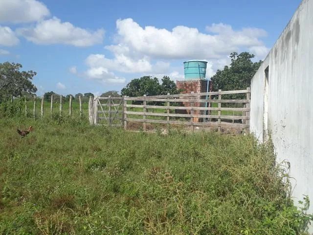 Fazenda com 90.5 hectares na região vera cruz - Foto 5