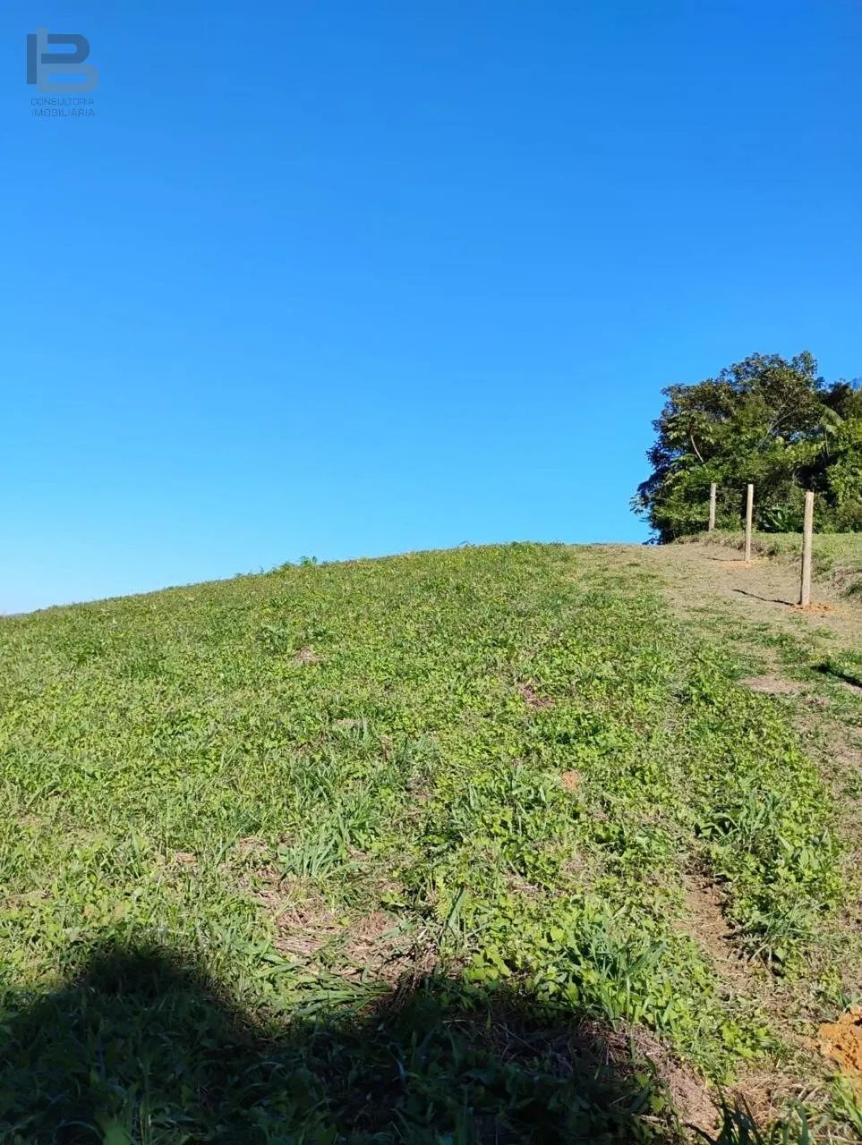 Área à venda em Santo Amaro da Imperatriz - Foto 4