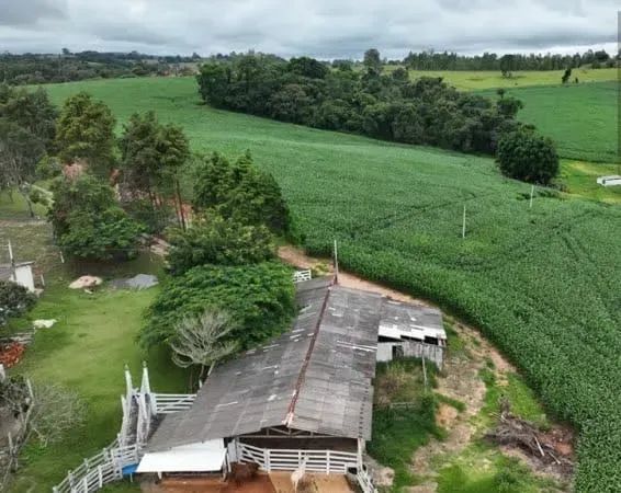 EXCELENTE SÍTIO A VENDA EM ITAPETININGA-SP - Foto 4