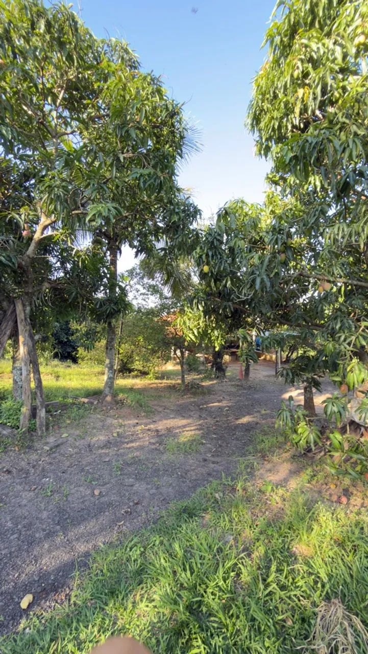 Venda  - Foto 3