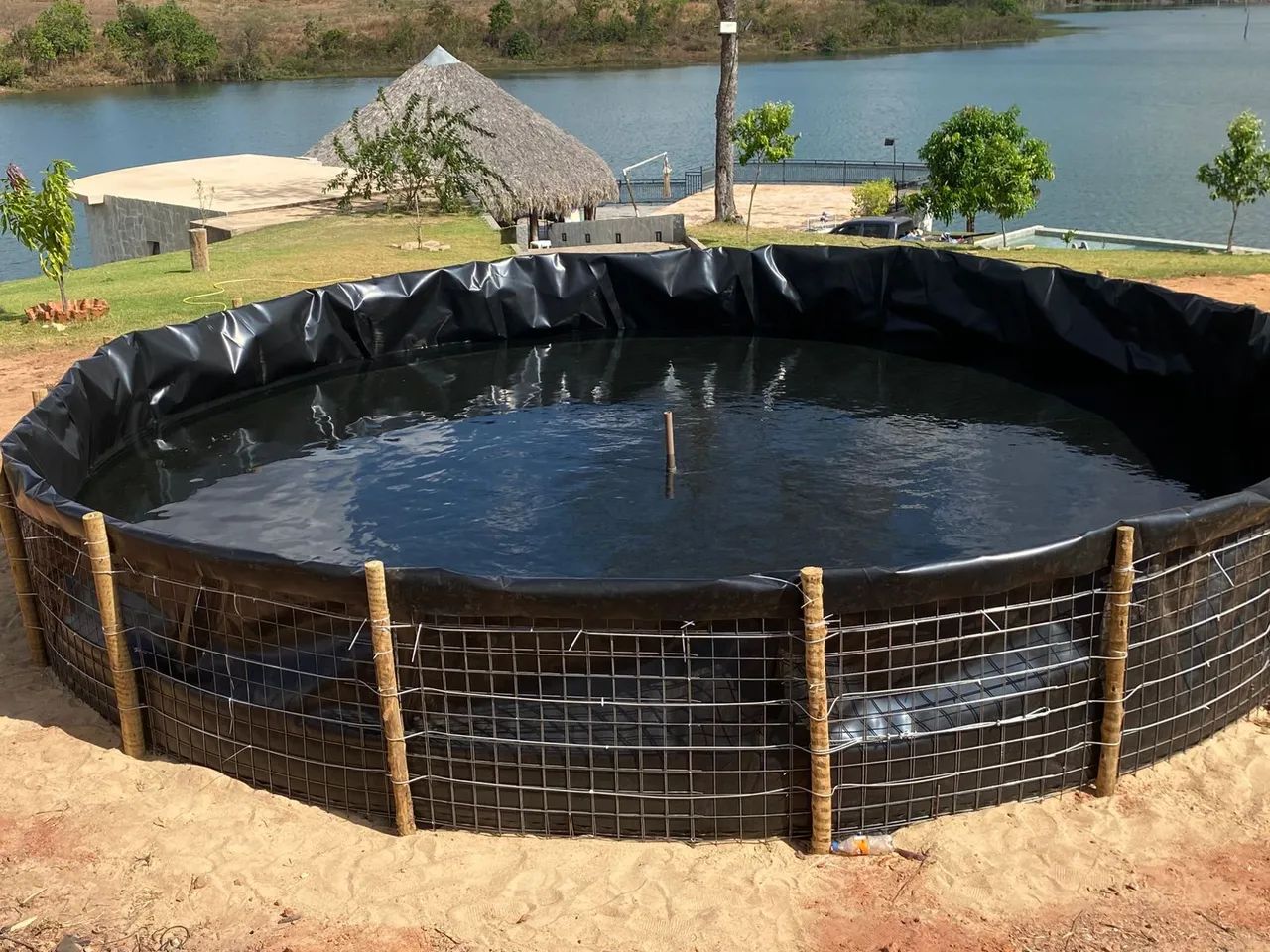 Tanque para peixe - Foto 5