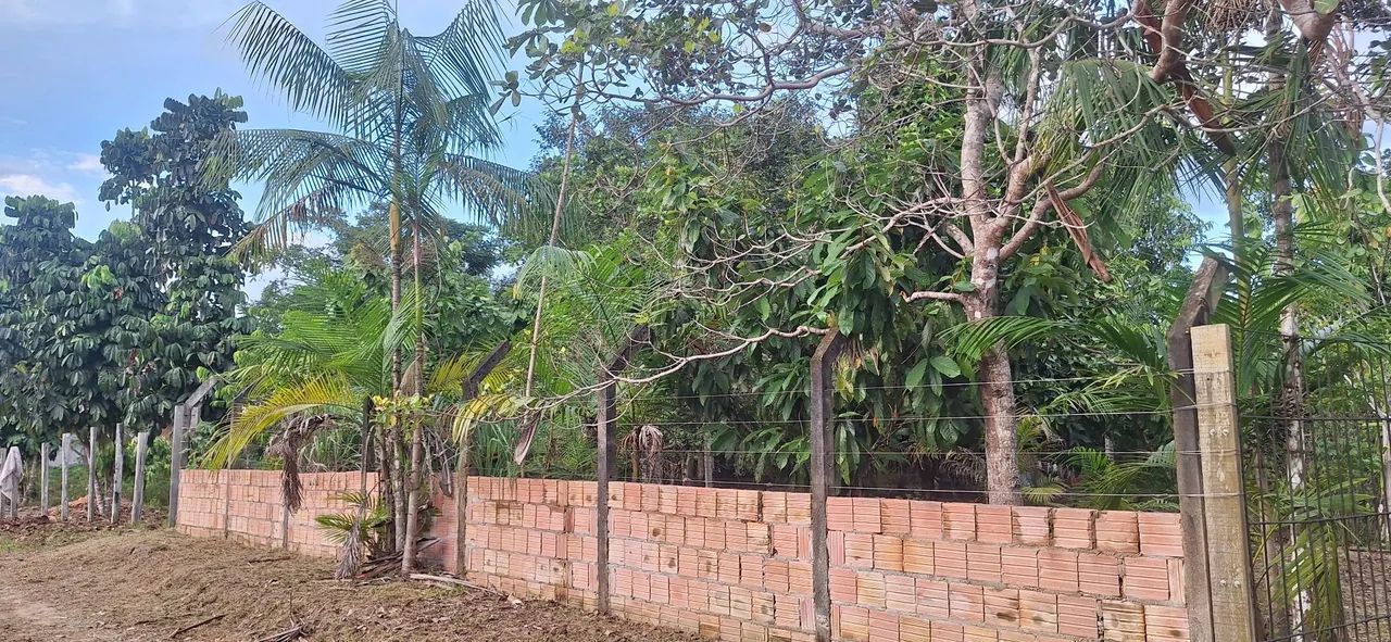 Sitio  - Foto 3