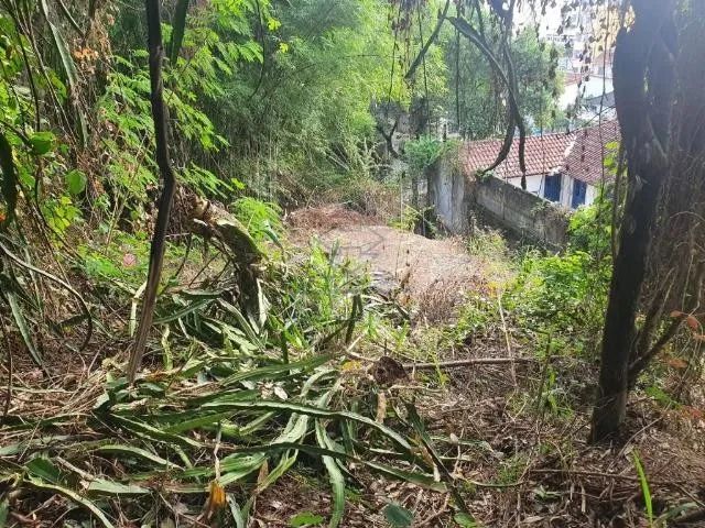 Terreno no Ingá - Foto 5