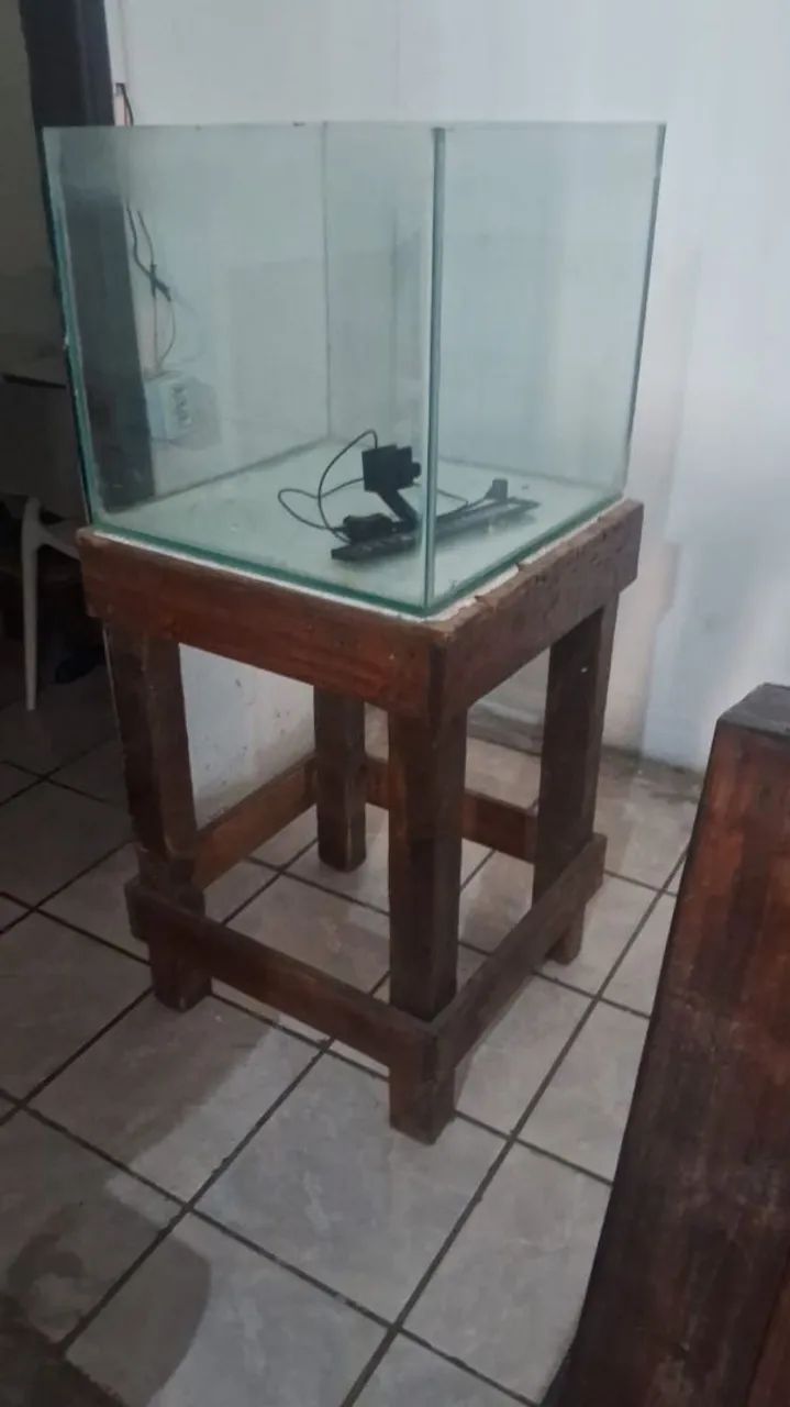 Aguario decoração 