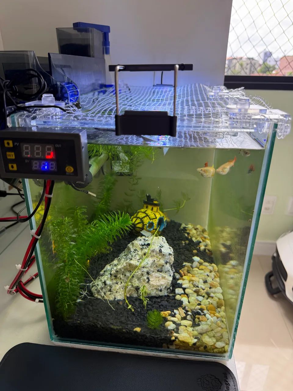 Aquário 32 litros completo com sump e luminária SOMA S-400! Oportunidade. - Foto 2