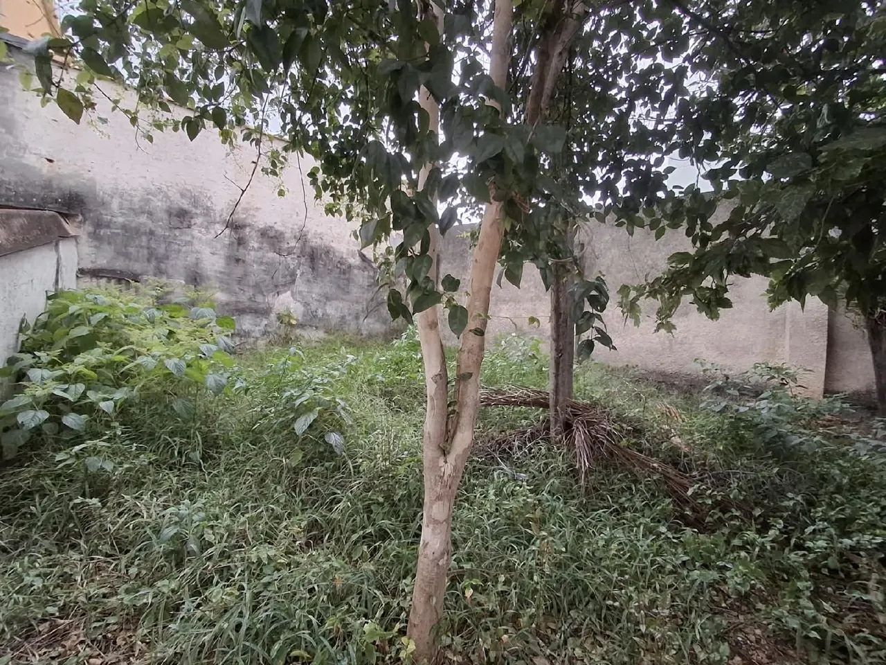 VENDA - CASA VILA HORTÊNCIA / SOROCABA/SP - Foto 5