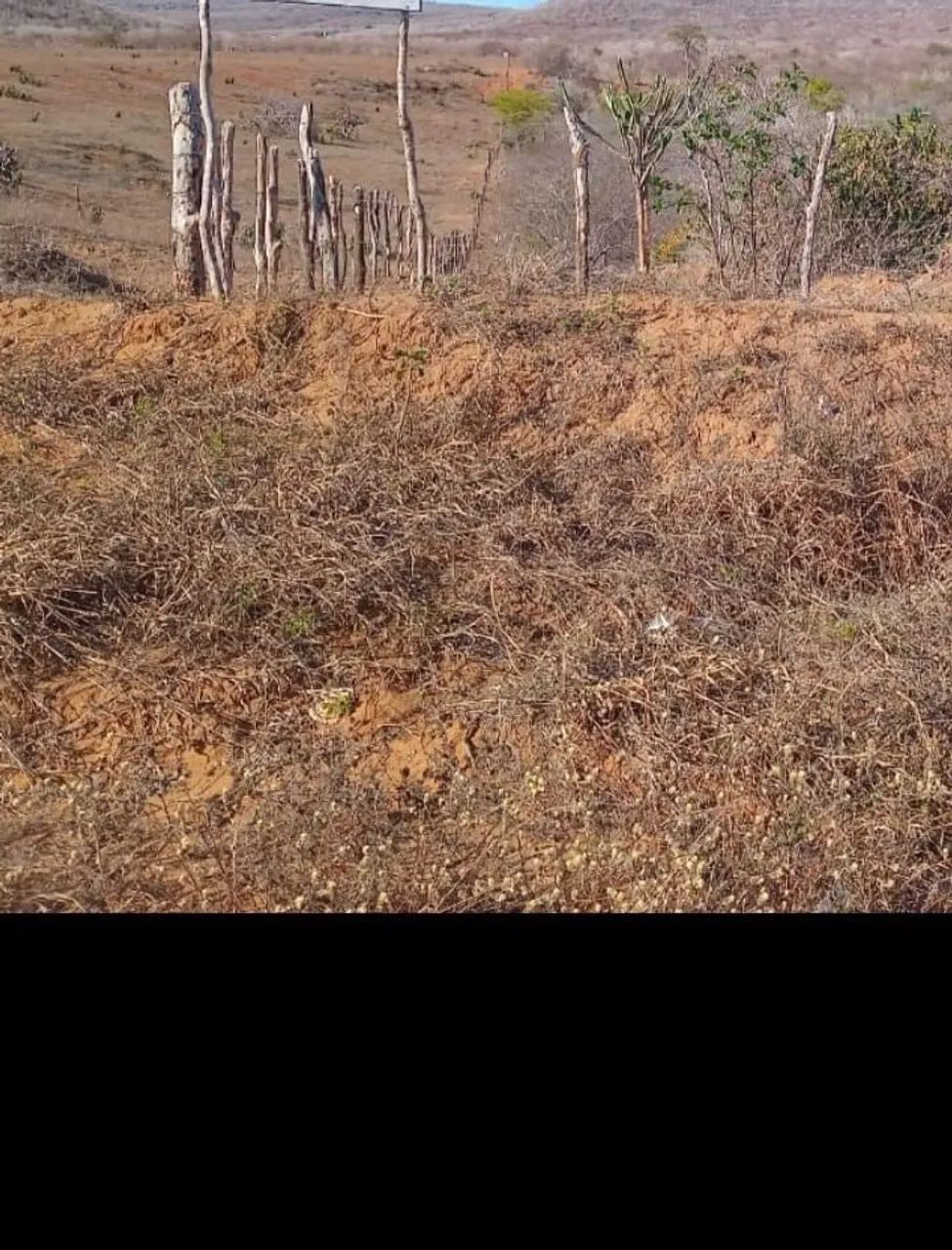  VENDO TERRA OPORTUNIDADE  - Foto 2