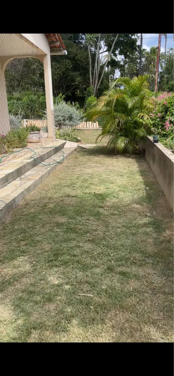 Serviço de roçagem / roçadeira / quintal, terrenos, lotes, condomínios  - Foto 4