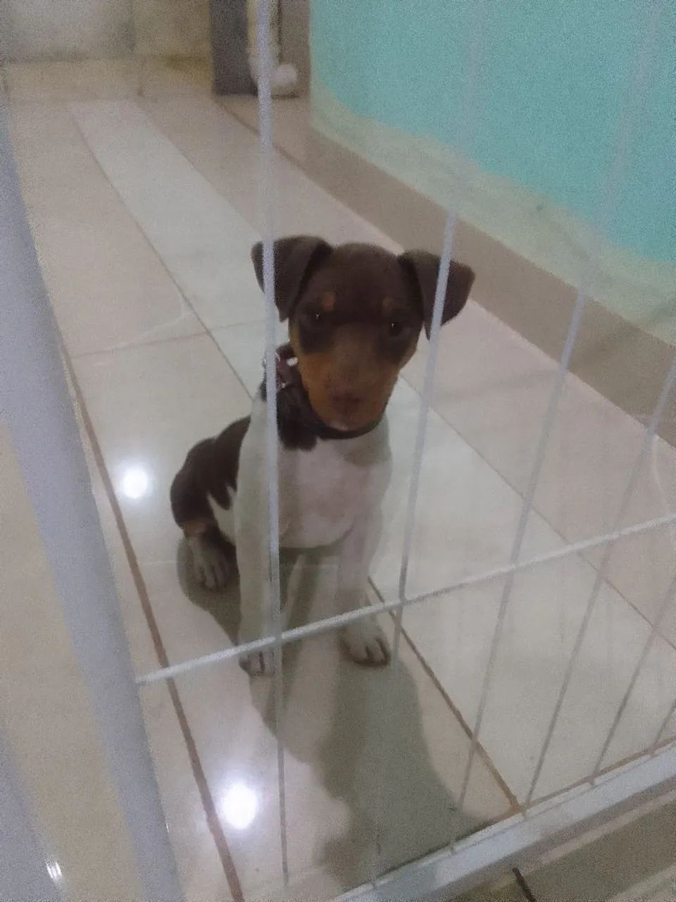 vende se for Paulista 