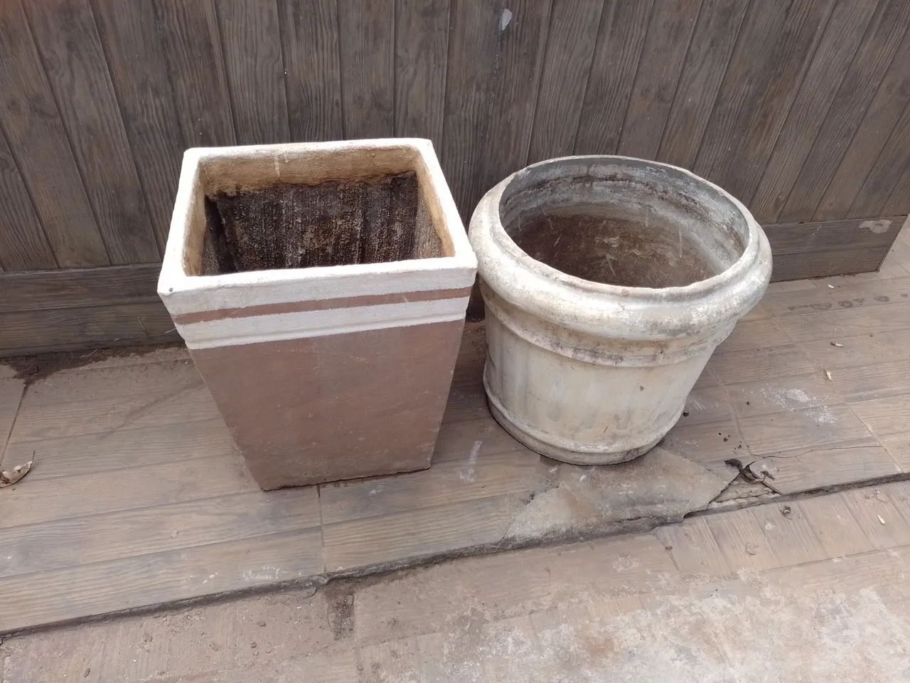 Vasos de planta