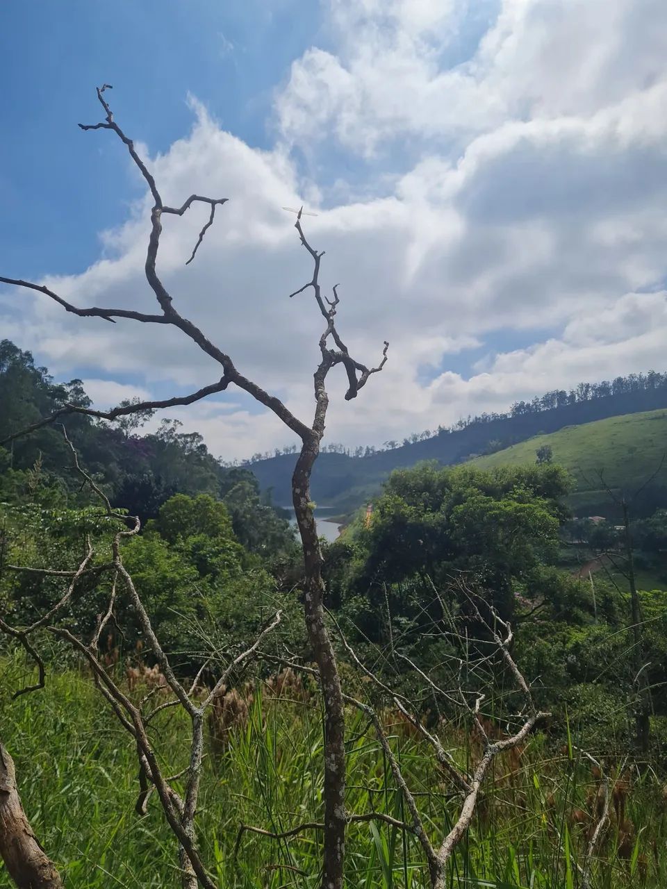 Foto - Jacareí - Chácaras Condomínio Recanto Pássaros II