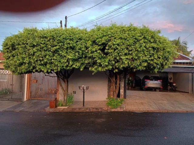 Poda de árvore  - Foto 5