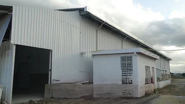 ÁREA 20.000 GALPÕES 2.200 M² PARQUE GUARUS LAGOA DAS PEDRAS - Foto 5