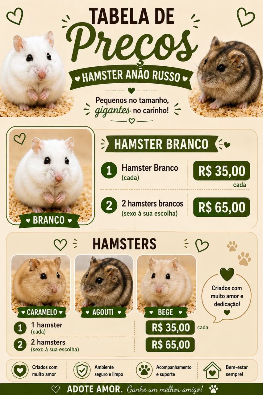 Kit Hamster Anão russo  - Foto 2