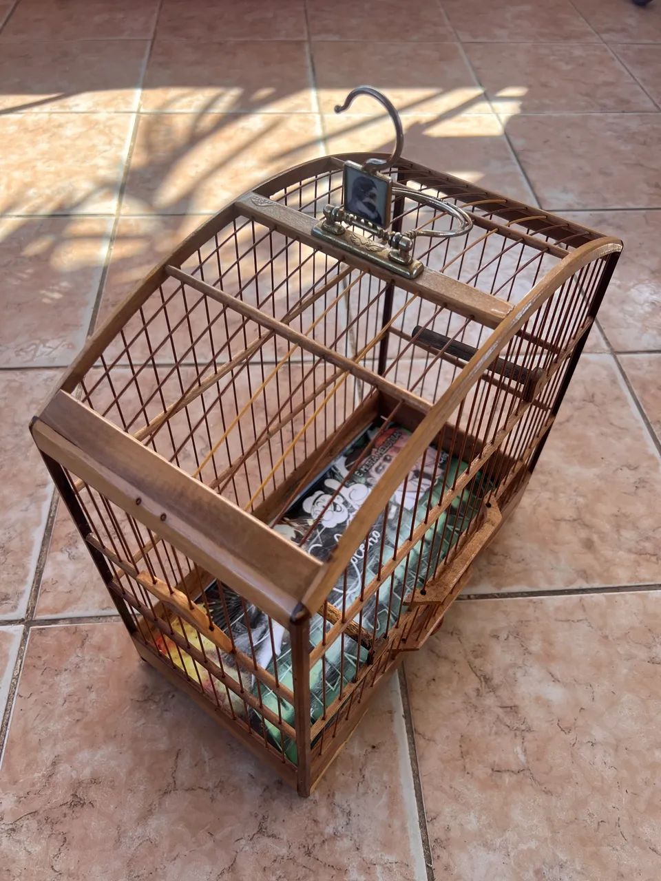 Gaiola Baianinha  - Foto 2