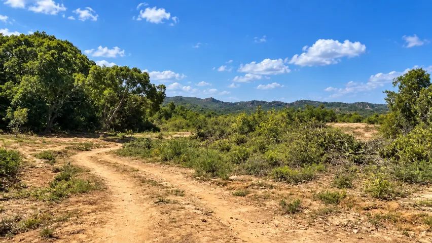CHÁCARA / SÍTIO  DE 48,4 TAREFAS EM ITAPORANGA D'AJUDA/SE - Foto 3