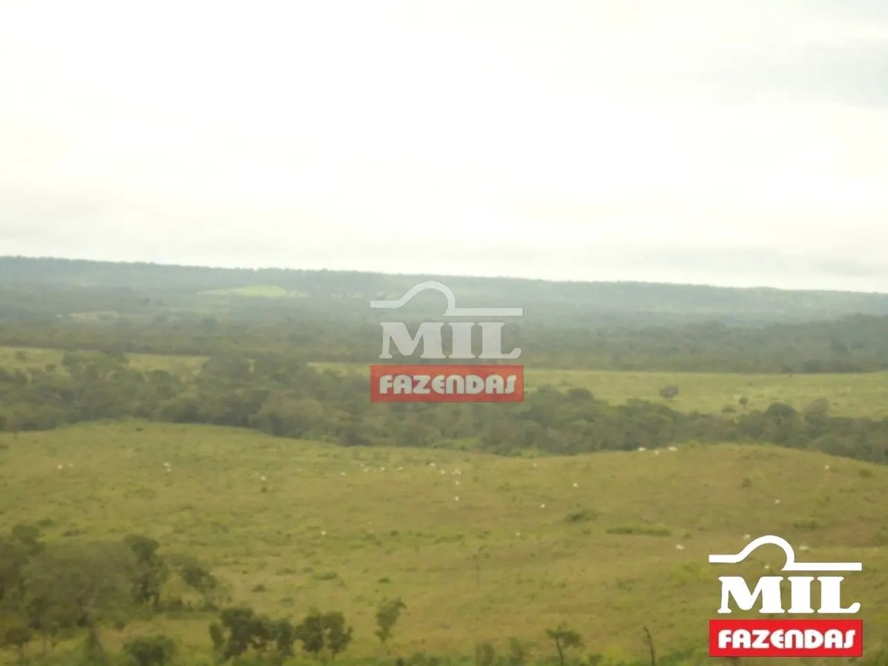 Fazenda 295 Alqueires (1.428 Hectares) Minaçu - GO - Foto 3