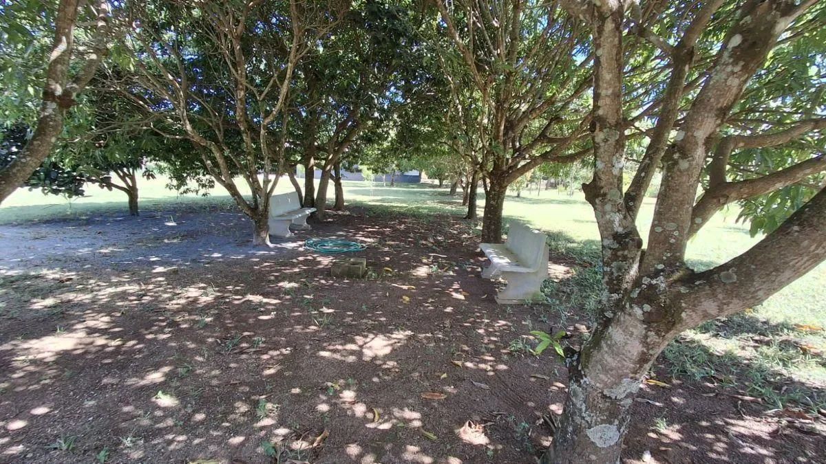 AR808 - CHÁCARA EM SÃO JOSÉ - Foto 4