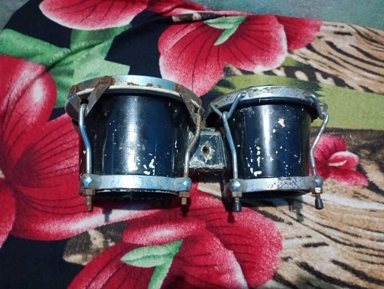 Bongo  - Foto 2