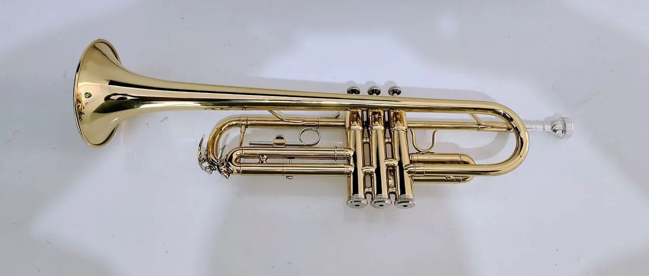 Trompete Dominante  - Foto 3