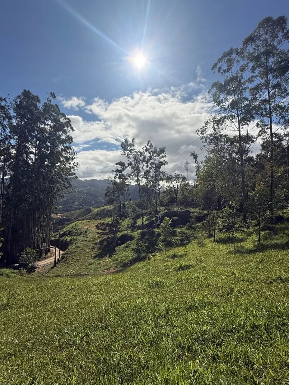 Terreno de duas hectares a venda em Gravatal  - Foto 3