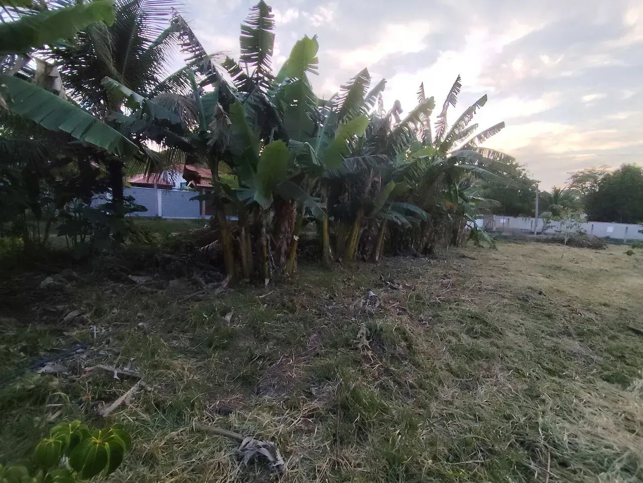 Lote/Terreno para venda possui 500 metros quadrados - Foto 8