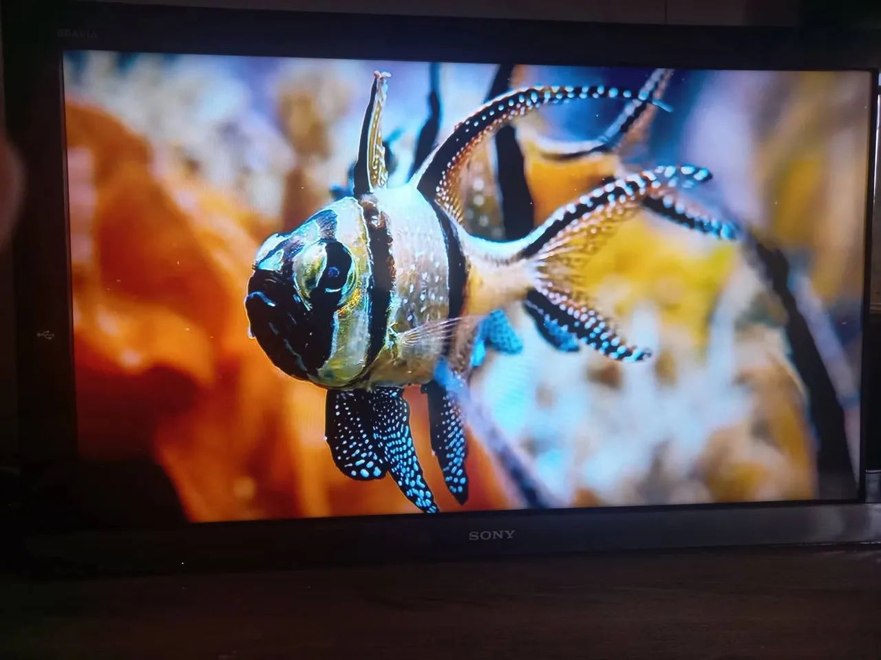 4 itens a venda, 3 cxs e 1 tv - Foto 3