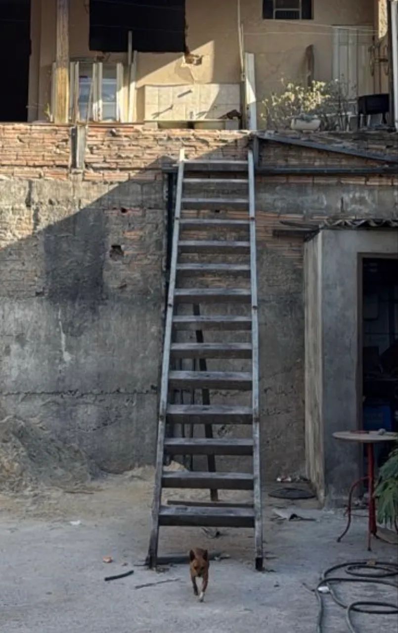 Escada de ferro  