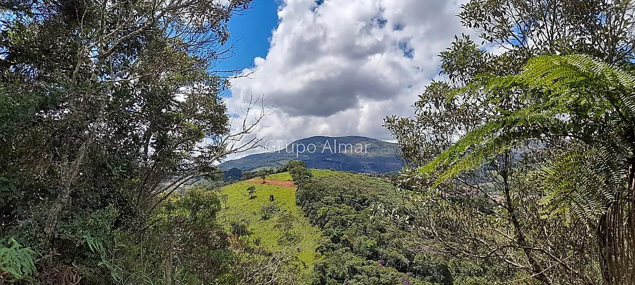 Lote / Terreno - Girassol - Foto 2