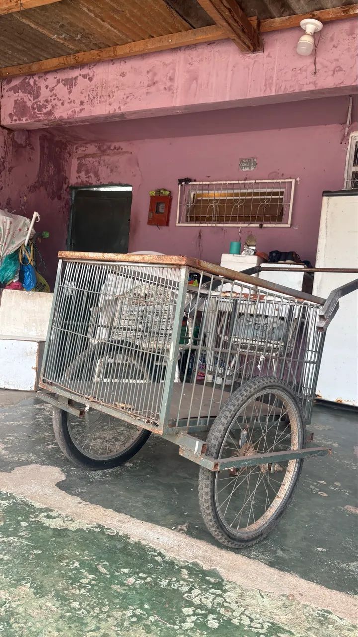 Carrinho de mão  - Foto 2
